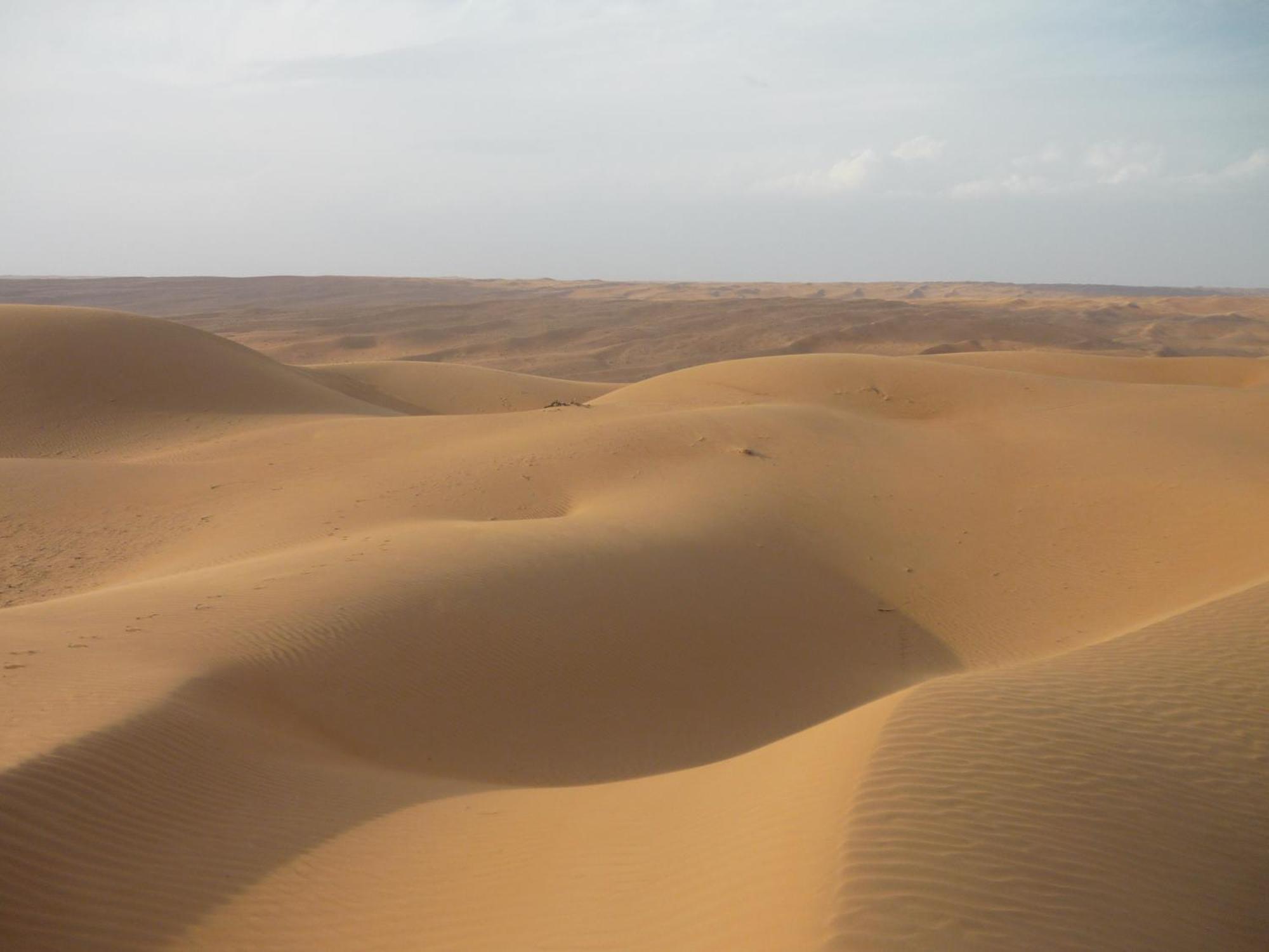 Desert Retreat Camp Al Wasil Exterior photo